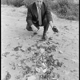 Smashed glass bottles - N. W. Nicholls