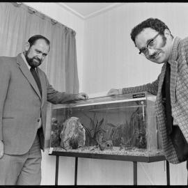 Donated tropical fish