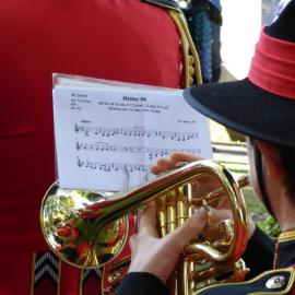 Battle of Gate Pā Commemoration Military Memorial Service at Otamataha Mission Cemetery (29 April 2014). Photographer Lee Switzer  (22)