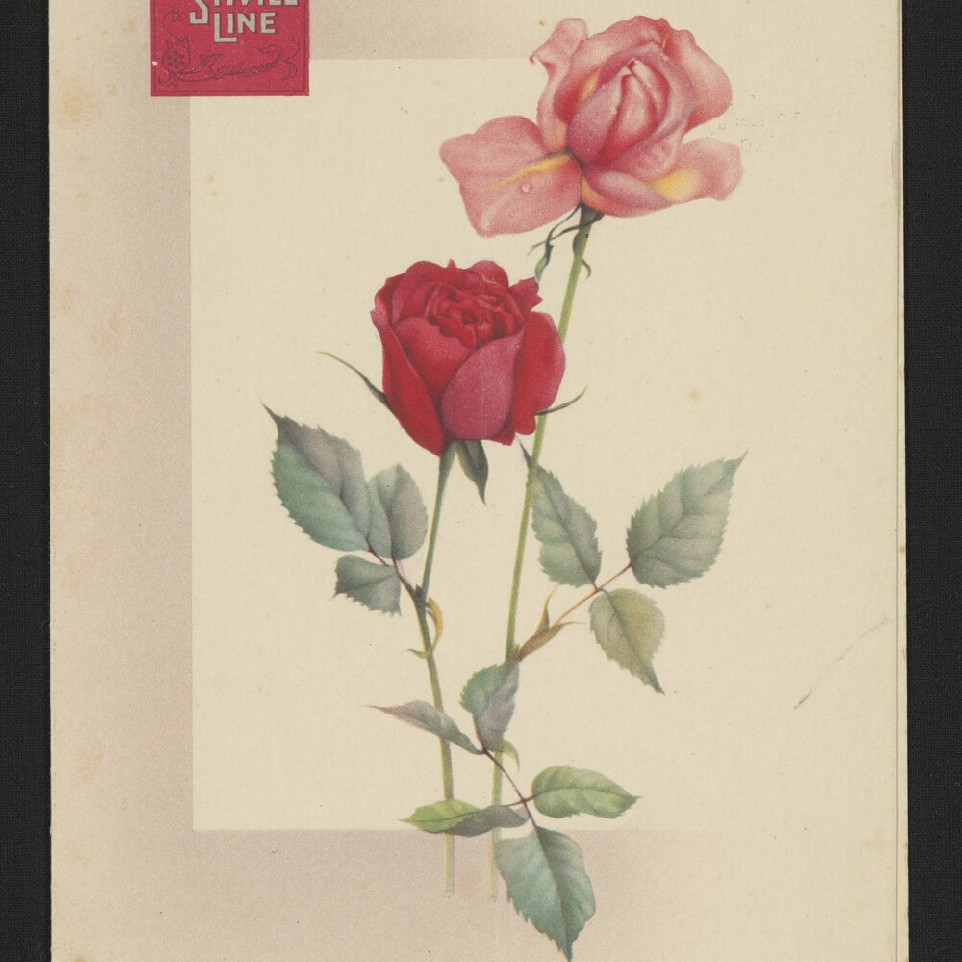 Personal papers