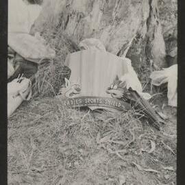 Ladies Sports Shield trophy