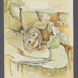 Mouse by ivy