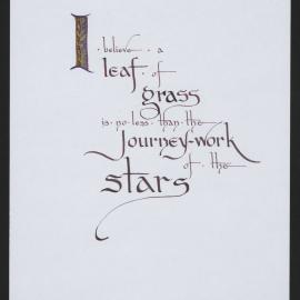 Illustrated quote (by Walt Whitman)