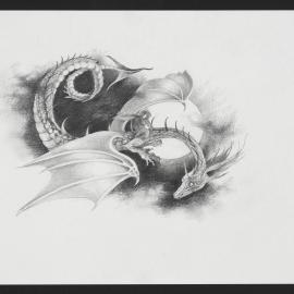 Chapter 10 illustration: Flying dragon