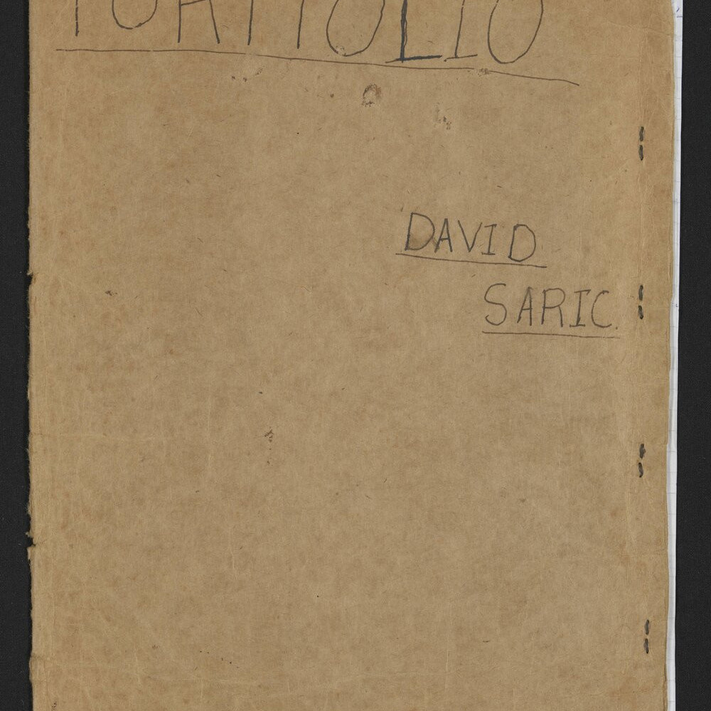 Portfolio on Michael Hodgkins, compiled by David Saric.  