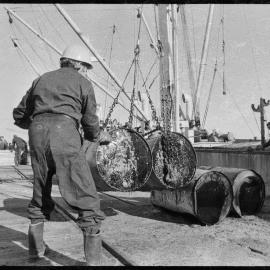 Unloading damaged drums of molasses from the Pukeko at Mount Maunganui.