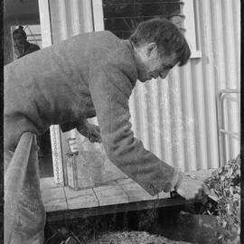 Unidentified man sampling wood chips (?) from a conveyor belt.