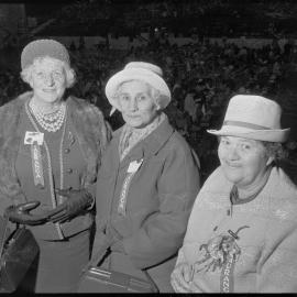 Three Tauranga women honoured with Women's Division Federated Farmers provincial life memberships.