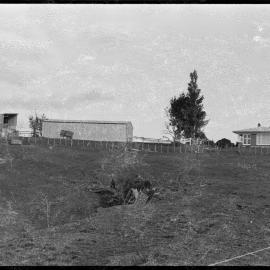 The site of the old Barnett homestead south of Te Puke.