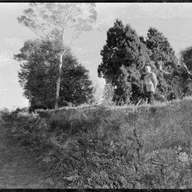 Mr Tom Barnett at the family farm he worked on while growing up, south of Te Puke.