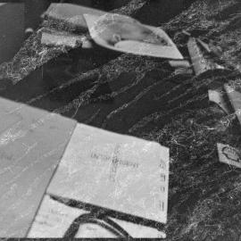 Accidental photograph.