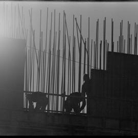 Backlit close-up of reinforcing steel on partially completed sewage pumping station being built at Tauranga City Council's Judea depot.