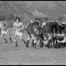 Rugby. New Zealand Juniors versus Thames Valley (29-12).