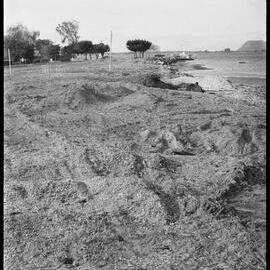 Stretch of Ōmokoroa foreshore where sixteen trees were felled and burnt.