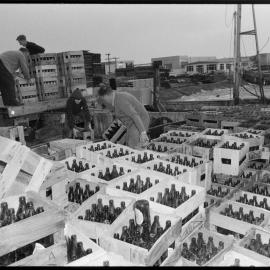 Unloading 36,744 bottles from a barge after a bottle drive on Matakana Island.