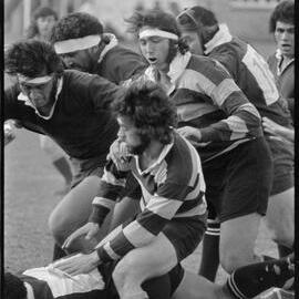 Rugby. Greerton versus Rangataua last weekend draw 10-10.