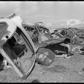 Car bodies at the Mount Maunganui Borough tip.