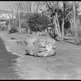 Waste paper collection in Greerton.