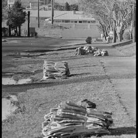 Waste paper collection in Greerton.