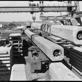 80-foot reinforced concrete piles to be used in the Number 9 extension of the Mount Maunganui wharf.