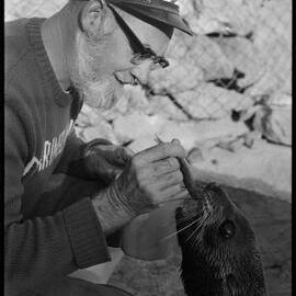 Feeding a new arrival at Marineland - Sammy the fur seal.