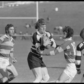 Rugby. Bay of Plenty beats Hawke's Bay 38-15 at Rotorua Stadium.