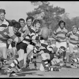 Rugby. Bay of Plenty beats Hawke's Bay 38-15 at Rotorua Stadium.