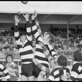 Rugby. Bay of Plenty beats Hawke's Bay 38-15 at Rotorua Stadium.
