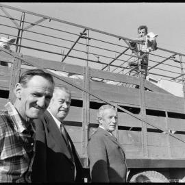 Mr I. W. Clunie watches the loading of pigs sold at the dispersal sale of his Airdrie Stud.