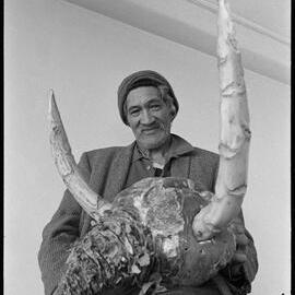 Mr Rapana Manaroa makes a 16-pound (7.3kg) swede look like a bull's head by adding chowmolia (kale) 'horns'.