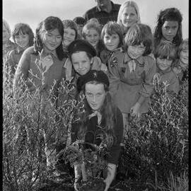 Te Puna Brownie Pack planting trees in Maramatanga Park.