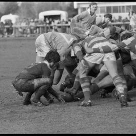Rugby. Bay of Plenty versus North Auckland (12-10) at Rotorua.