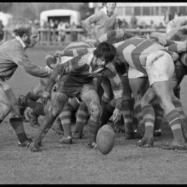 Rugby. Bay of Plenty versus North Auckland (12-10) at Rotorua.