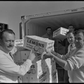 Loading the last of 4500 cartons of lemons into a refrigerated container at Tauranga railway yards for export to Japan.