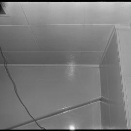 Accidental photograph.