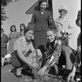 Guides celebrating the movement's Golden Jubilee in the Bay of Plenty plant a shrub outside St Peter's Presbyterian Church.