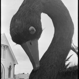 Close-up of Tauranga City Council's champion float at the Orange Festival Parade.