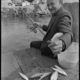 Mr A. W. Holmes of Greerton catching herrings from a jetty at Sulphur Point.