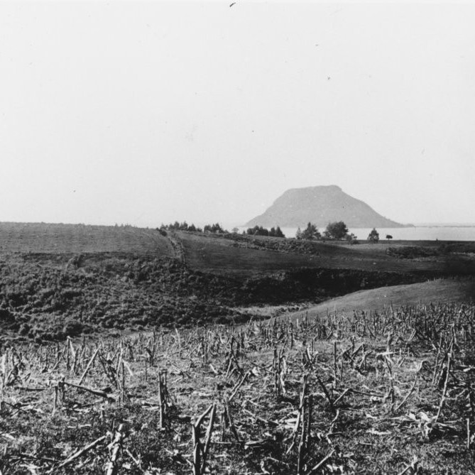Bureta Farm, Tauranga, 1900-c.1974 (Place)