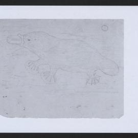 Photocopy - Platypus