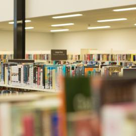 Te Ao Mārama ki Tutarawānanga - Greerton library on opening day