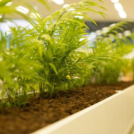 Early morning scenes during library opening