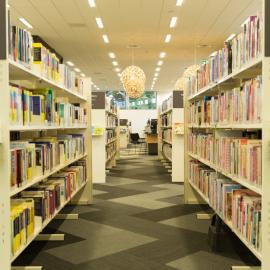 Te Ao Mārama ki Tutarawānanga - Greerton library on opening day