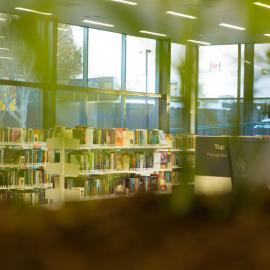 Te Ao Mārama ki Tutarawānanga - Greerton library on opening day