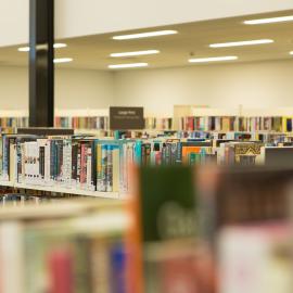 Te Ao Mārama ki Tutarawānanga - Greerton library on opening day