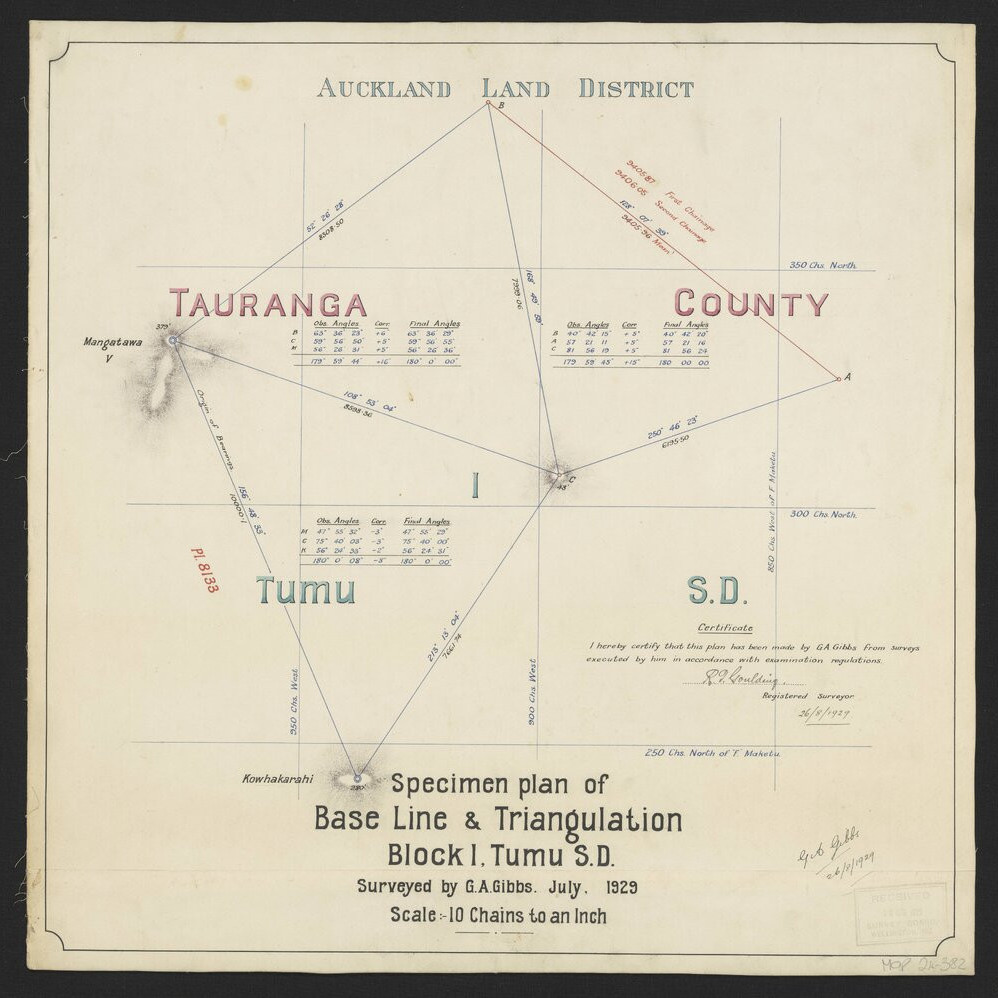 Survey Plans & Cadastral Maps