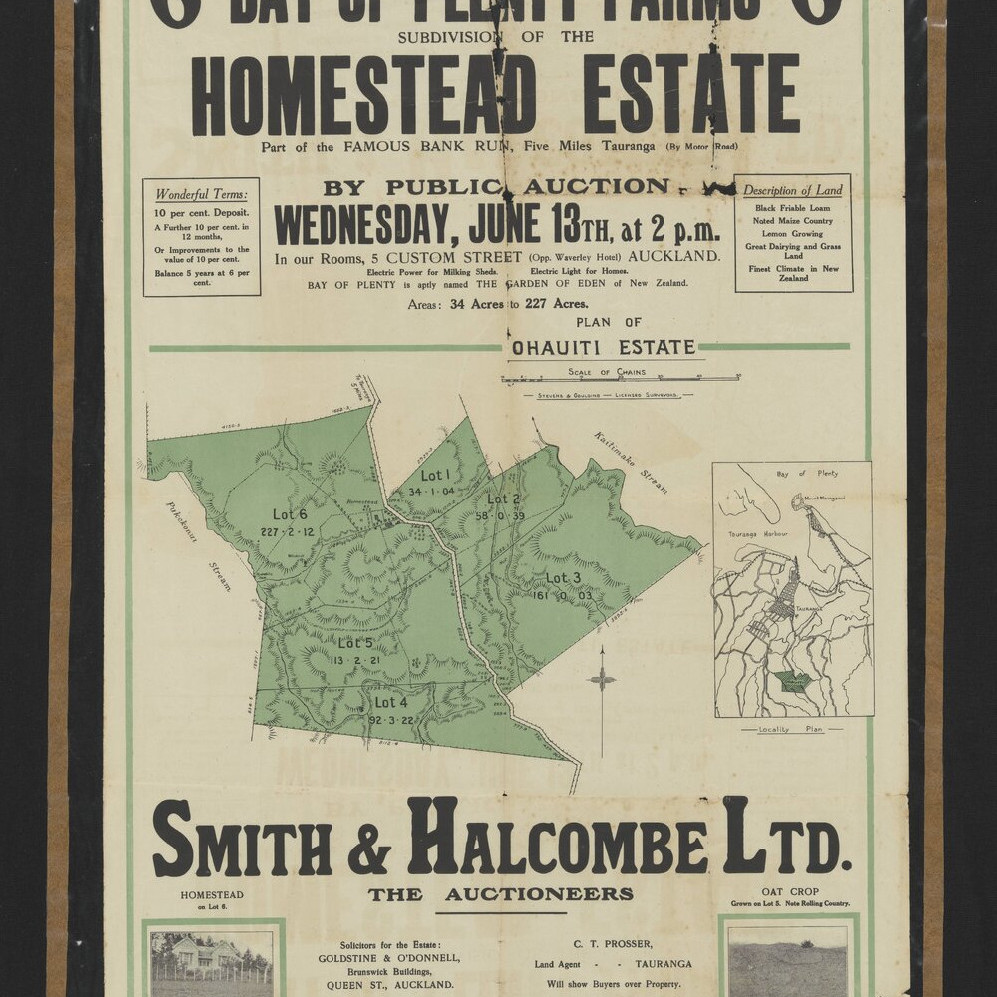 Promotional Maps