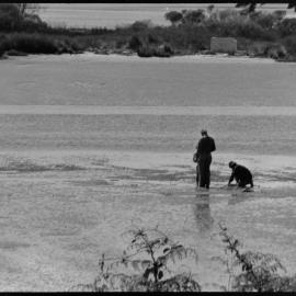 15th Avenue foreshore