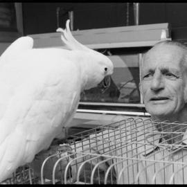 Samantha the Cockatoo