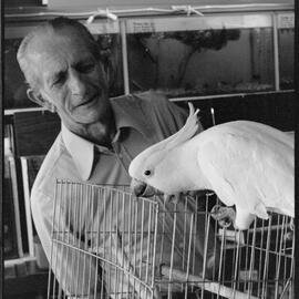 Samantha the Cockatoo